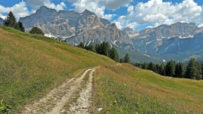 Auf in die nächste Dimension