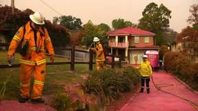Häuser und Gärten werden rosa