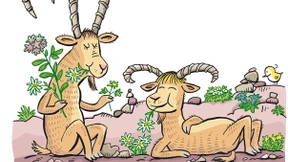 Ein zünftiger Almrausch