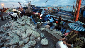 Es riecht nach Eskalation