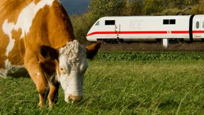 Ist die Bahn gar nicht so ökologisch?