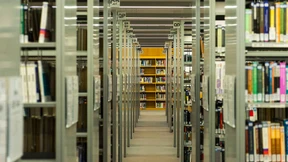 Mehr als zweihundert sinnlose Papiere