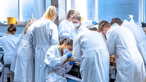 Warum Leichen der Lehre dienen