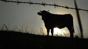 Entwicklungshilfe mit Bankermethoden