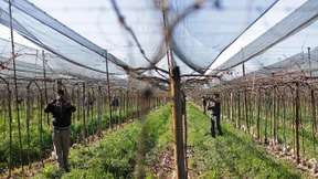 „Das Mercosur-Abkommen ist Geschichte“