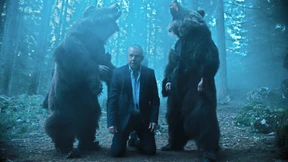 Man sieht den Wald vor lauter Bären nicht