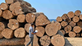 Wer rodet, soll draußen bleiben