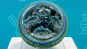 Wie Deutschland seinen mRNA-Vorteil verspielt hat