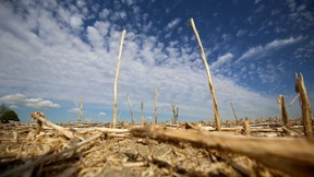 Klöckner will vor Dürre-Hilfen die Erntebilanz sehen
