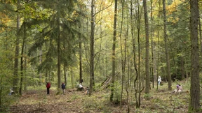 Ein Deutschsommer dauert fast das ganze Jahr
