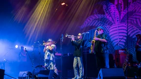 Infektiöser Groove