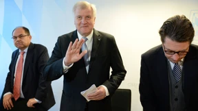 Der Stachel und warum er sticht