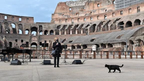 Die Kleider der toten Schwester hängen im Korkeichenhain