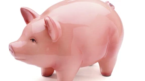 Der Sparer, das unbekannte Wesen