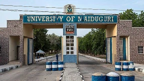 Fels in der Brandung des Dschihad