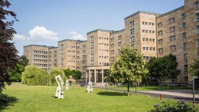 Ein grünes Büro für die Goethe-Uni