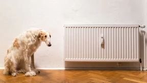 Was mache ich jetzt bloß mit meiner Heizung?