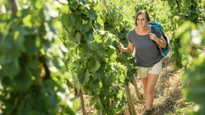 Eine kulinarischen Tour durch die Pfalz