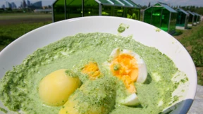 Frankfurt will den Soßen-Rekord