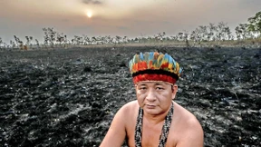 Hoffnungsträger im Kampf gegen den Klimawandel