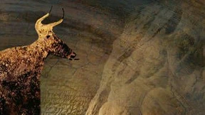 Paläontologe, bleib bei deinen Knochen