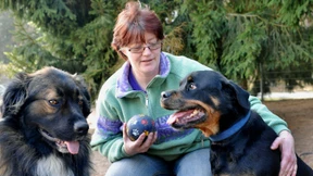 Mischling Lucky wartet auf die zweite Chance 