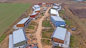 Streben nach Zugehörigkeit