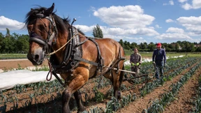 Bitte nicht füttern!