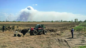 Vom Brotfrieden zum Getreidekrieg