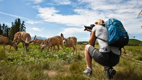 Top-Ten-Tipps für Reisen in Kanadas Norden