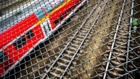 Lokführer: Der Streik ist zu teuer für die Bahn