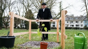 Ein Baum erinnert an das Lager Theresienstadt