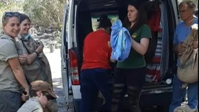 Hunderte Tiere vor Buschfeuern gerettet