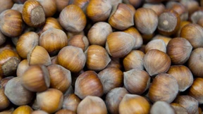 Haselnuss-Notstand in der Weihnachtszeit