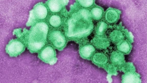 „Schweizer Messer“ für Grippeviren