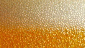 Wie schädlich ist Glyphosat im Bier?