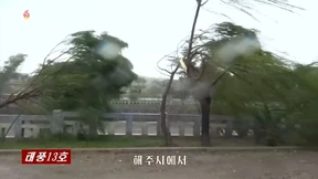 Stürme in Korea und Japan sorgen für Verwüstung