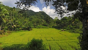 Die Heldentat des braven Soldaten Kularatne