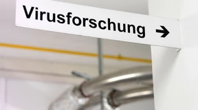 Eine positive Entwicklung in der Krise