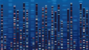 Die richtige Diagnose wird immer wichtiger