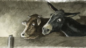 Der Ochse küsst des Kindes Fuß