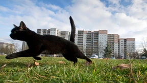 Klassenkampf auf dem Wohnungsmarkt