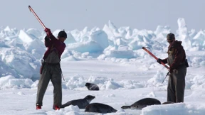Die Schlacht ist eröffnet