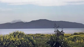 Deutscher Multimillionär sucht Mitbewohner