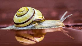 „Wir erleben eine große Rückzugsbewegung“