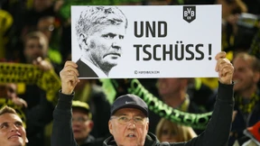 Gezähmtes Tigerchen