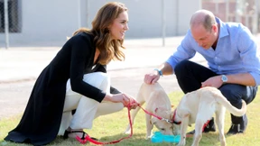 William und Kate besuchen Schule für Militärhunde