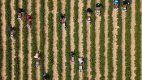 Der Mindestlohn-Populismus