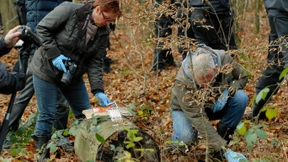 Jäger findet menschlichen Schädel in Waldstück