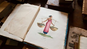 Der Goldene und der Grüne Weg beim Publizieren